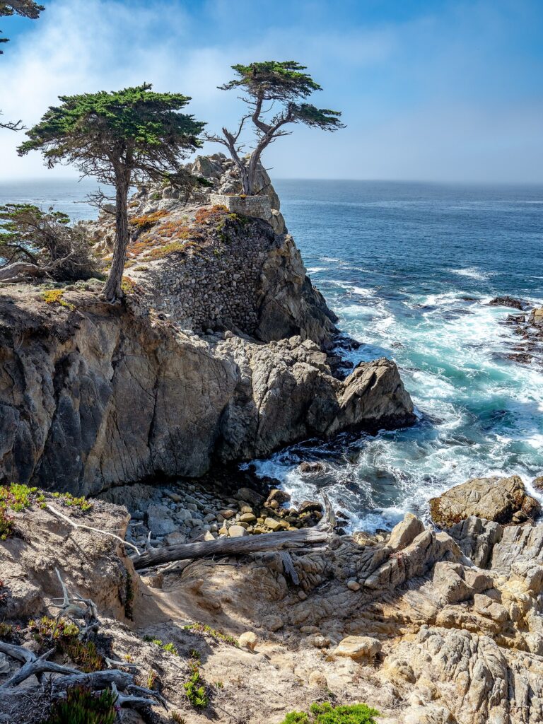 The Lone Cypress standing on its granite outcrop above the Pacific along 17-Mile Drive