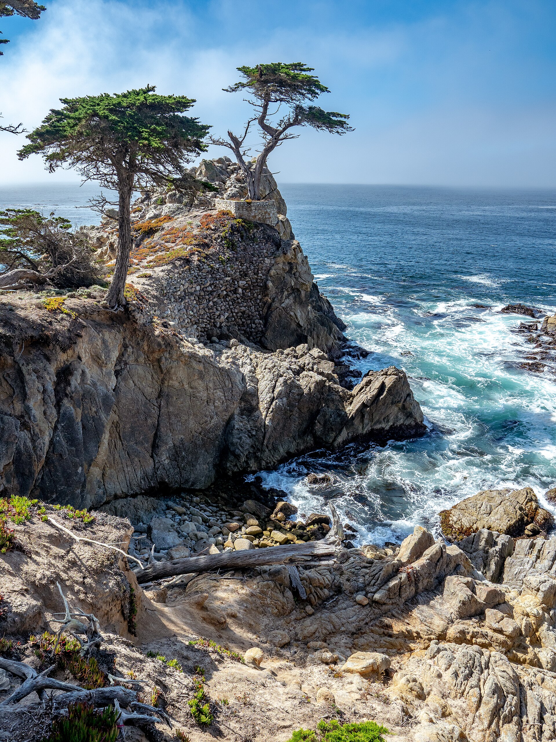 The 17-Mile Drive Guide: Best Stops, Insider Tips & Everything You Need to Know
