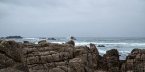 Bird Rock offshore of 17-Mile Drive, a haul-out for seals, sea lions and seabirds