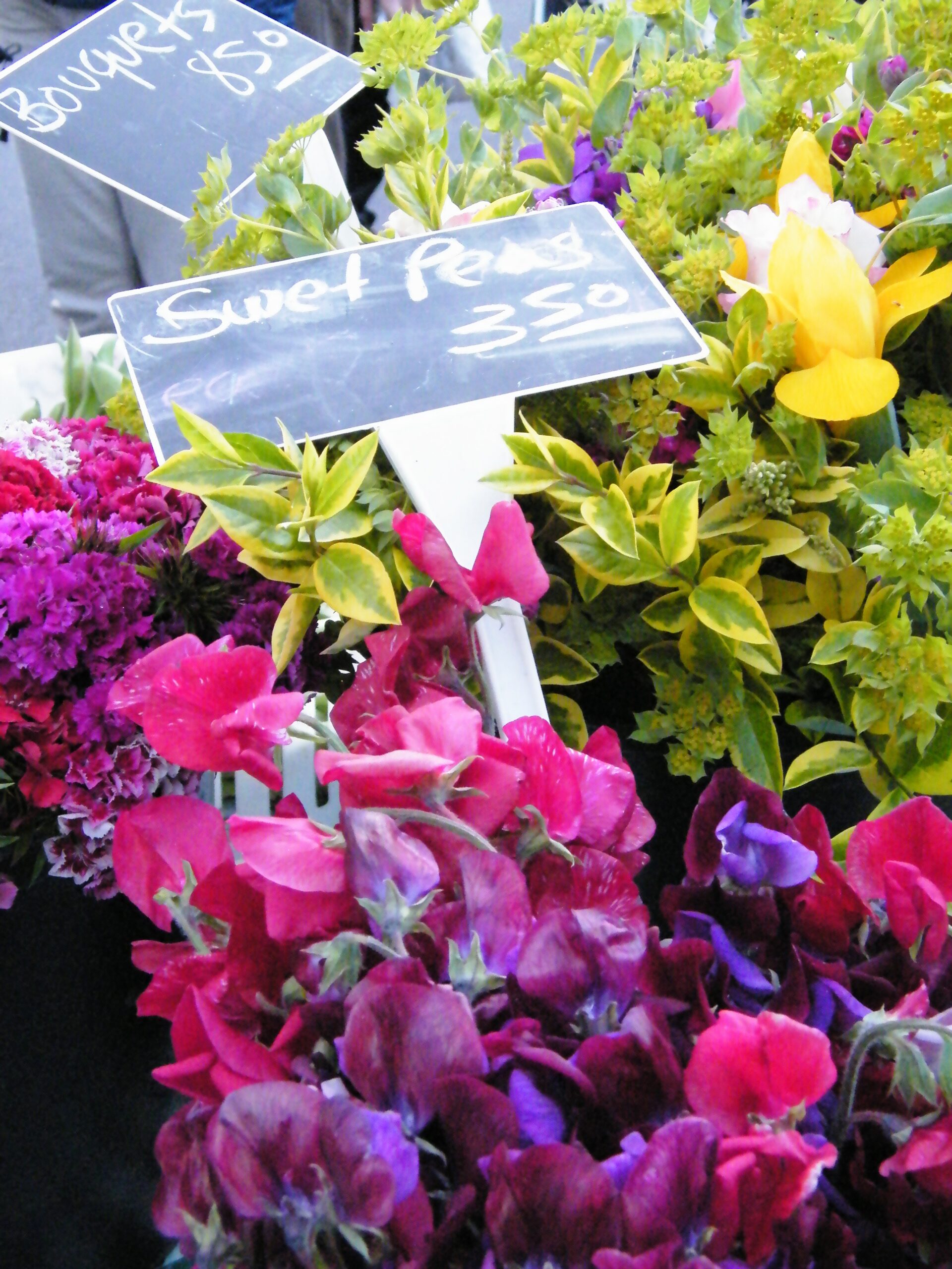 Buckets of cut flowers for sale at a Northern California farmers market.