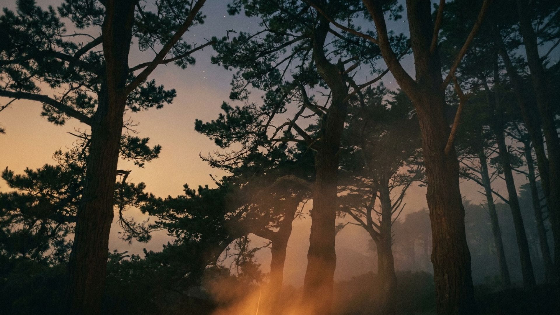 Shakespeare Under the Pines